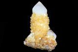 Sunshine Cactus Quartz Crystal Cluster - South Africa #80194-2